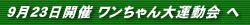 923JÃ^