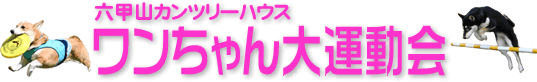 ZbRJc[nEX ^ ^Cg
