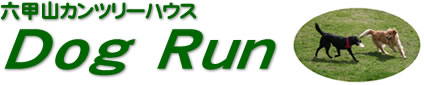 ZbRJc[nEX Dog Run ^Cg